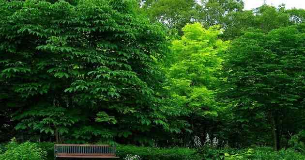 亚洲金牌风水大师排名,水瓶座和天秤座适合当朋友吗,水瓶座和金牛座适合当朋友吗