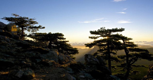 风水大师秦阳明