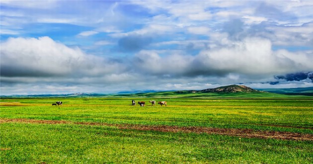 四川算命厉害的大师,十大首富属相,中国富豪属相排行榜