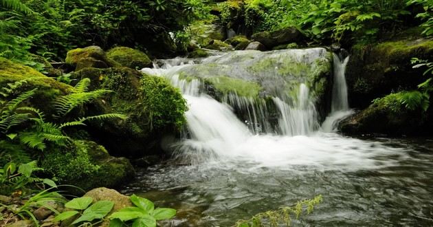 贵州最有名的风水先生,贵州最出名的风水大师叫什么