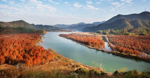 观音灵签印光大师开示,印光大师占卜