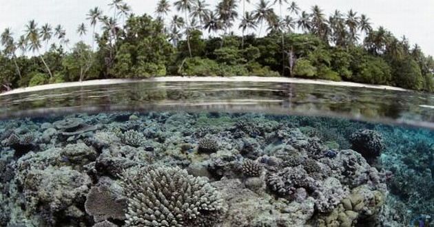 日本有名气的风水大师排名,周公解梦大全查询梦见死去的人又死了,梦见别人预言亲人死期