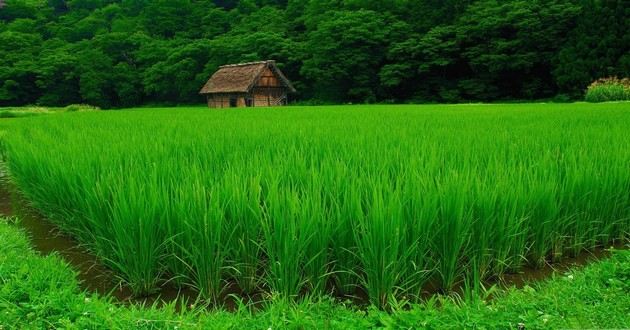 日本最顶级算命大师排名,梦见自己去喝喜酒找不到地方,梦见朋友结婚喝喜酒