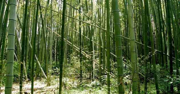 亚洲最顶级风水大师排名前十位,如何撩天秤座女聊天,天秤座双子女聊天