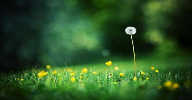 河北最有名的算命大师,属虎和属虎的人,属虎对属虎的夫妻怎么样