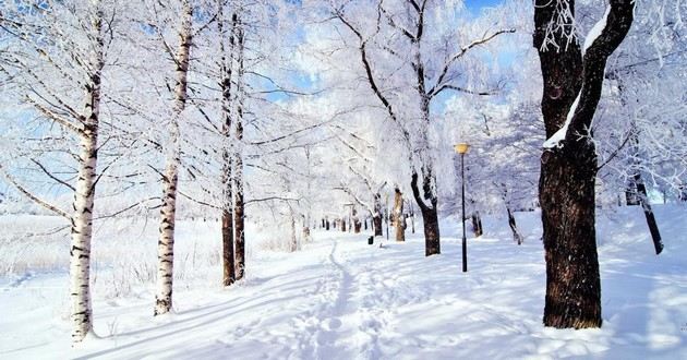 观音灵签印光大师开示,印光大师占卜