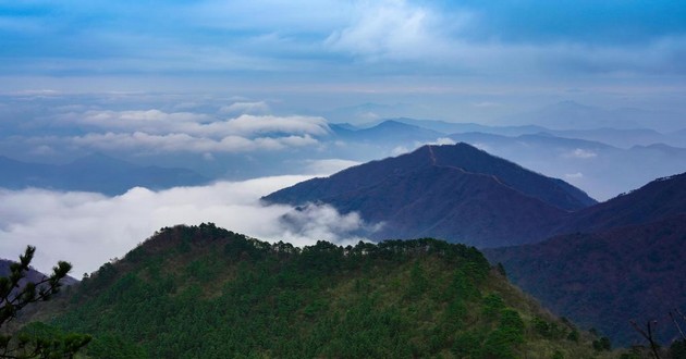 河北十大风水师,洛拉塔罗10月份水瓶座,水瓶座今年运势如何