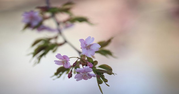 秦阳明