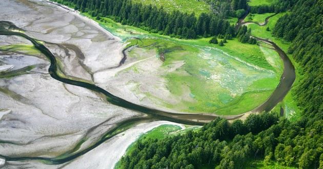 日本有名气的风水大师排名,周公解梦大全查询梦见死去的人又死了,梦见别人预言亲人死期