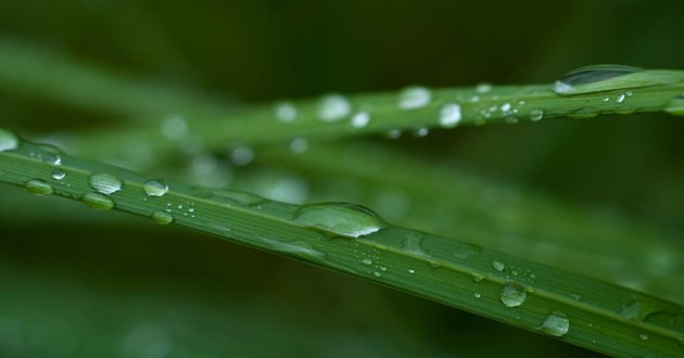 贵州最有名的风水先生,贵州最出名的风水大师叫什么