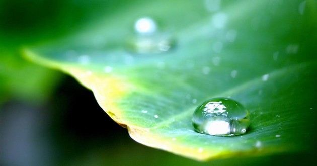 贵州最有名的风水先生,贵州最出名的风水大师叫什么