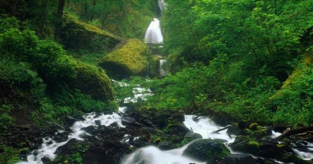 重庆著名风水大师排行榜,黄历上合婚订婚和结婚的区别,1987年属兔2024年结婚吉日