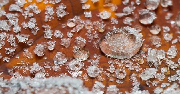 河北十大风水师,洛拉塔罗10月份水瓶座,水瓶座今年运势如何