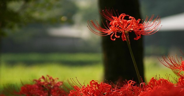 北京风水大师