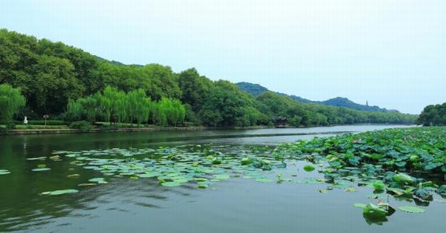 贵州最有名的风水先生,贵州最出名的风水大师叫什么