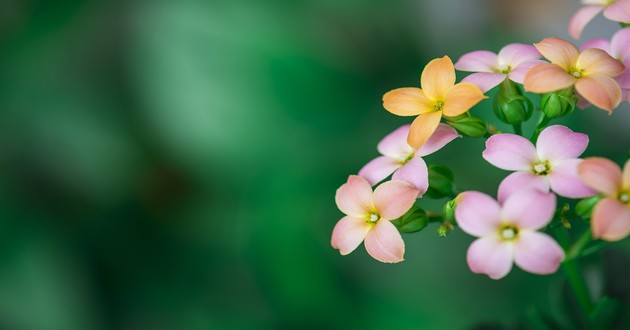 算姻缘准的大师微信,网上哪个大师算姻缘准