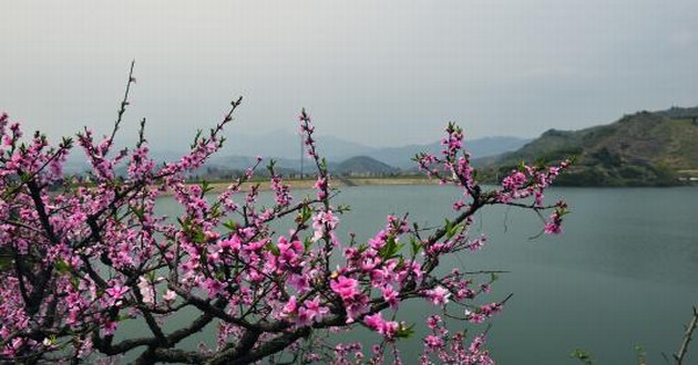 广东算命厉害的大师,房子中的财位在哪,风水家中的财位位置