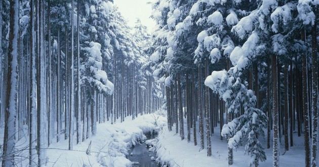 广东风水大师