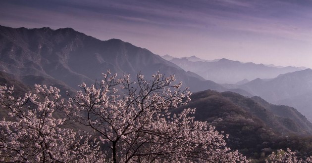 观音灵签印光大师开示,印光大师占卜