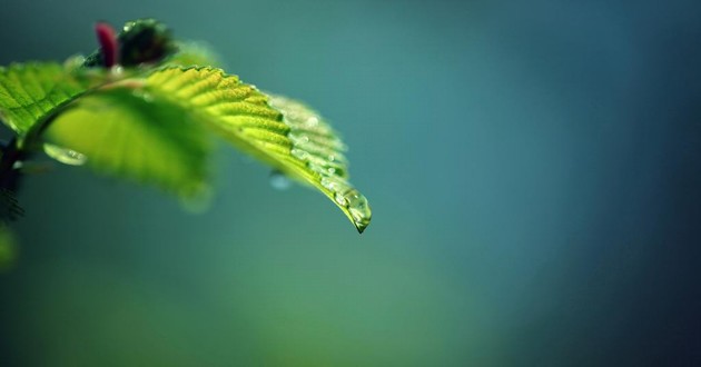 贵州最有名的风水先生,贵州最出名的风水大师叫什么