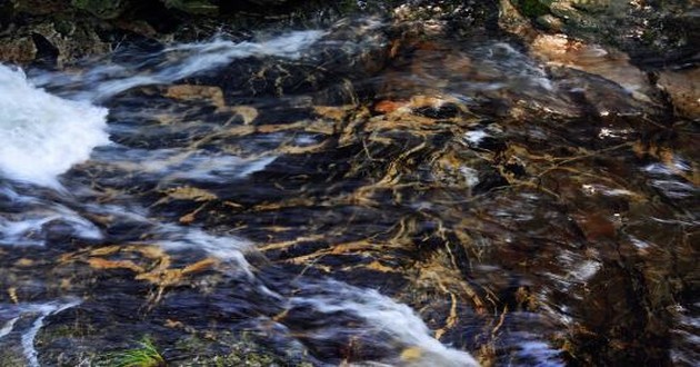 亚洲金牌风水大师排名,水瓶座和天秤座适合当朋友吗,水瓶座和金牛座适合当朋友吗