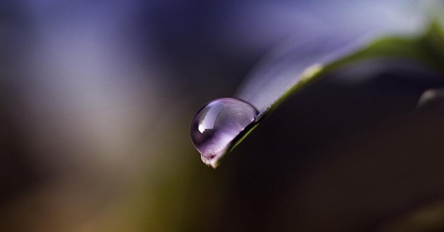 现代算卦最准的大师都有谁,中国最厉害的算命大师是谁