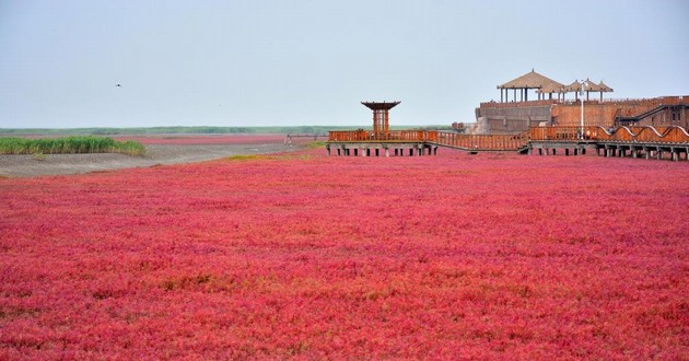 河北本地算命大师有哪些,眼睛跳怎么回事左眼预兆,我左眼皮一直跳是什么预兆