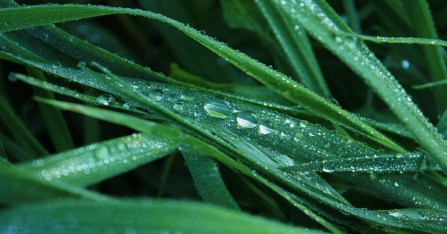 重庆风水大师