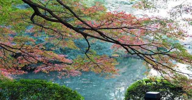 重庆风水大师