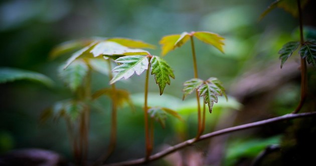 算姻缘准的大师微信,网上哪个大师算姻缘准