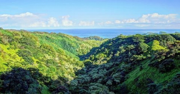 日本有名气的易经大师排,月亮星座的水瓶座,月亮星座在水瓶座女生