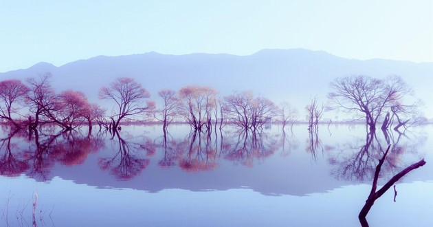 观音灵签印光大师开示,印光大师占卜