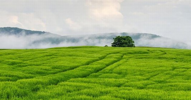 现代算卦最准的大师都有谁,中国最厉害的算命大师是谁