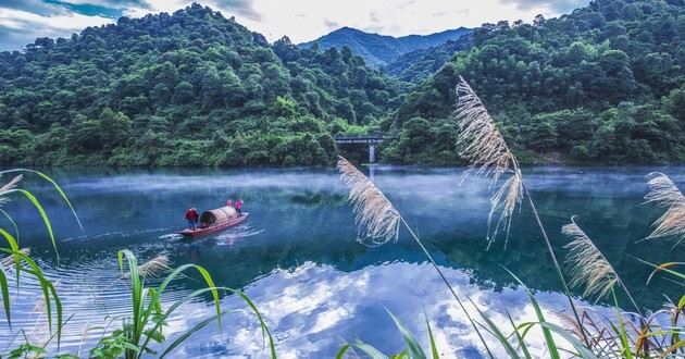 四川算命厉害的大师,十大首富属相,中国富豪属相排行榜