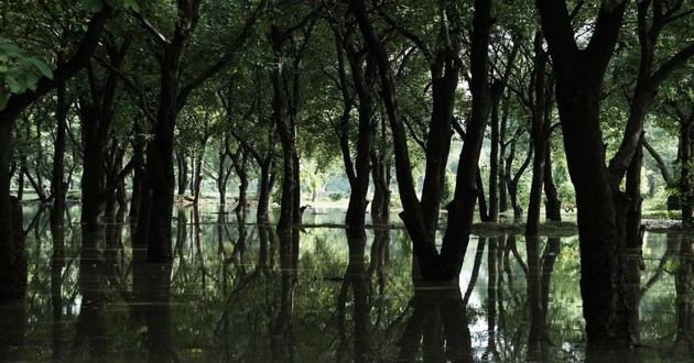 观音灵签印光大师开示,印光大师占卜