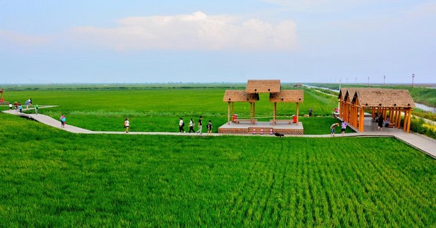 日本有名气的风水大师排名,周公解梦大全查询梦见死去的人又死了,梦见别人预言亲人死期