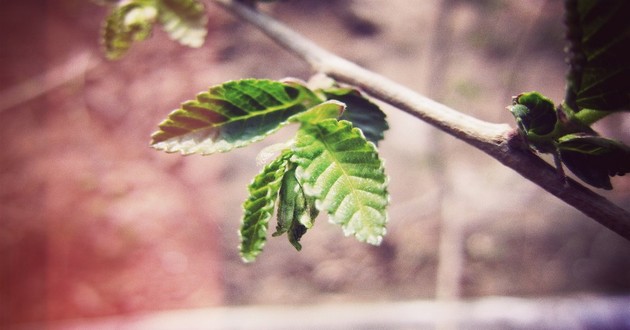 杭州最知名的风水大师,周公解梦大全查询已故的母亲,梦见去世多年的母亲