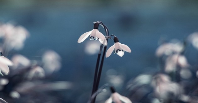 算姻缘准的大师微信,网上哪个大师算姻缘准