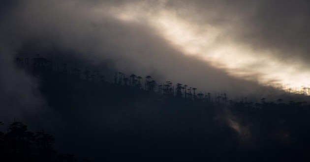 现代算卦最准的大师都有谁,中国最厉害的算命大师是谁