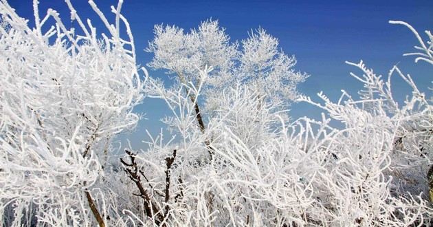 观音灵签印光大师开示,印光大师占卜