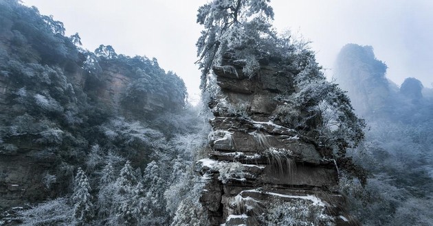 梦到算命的说我活不久,梦见算命大师给我指点