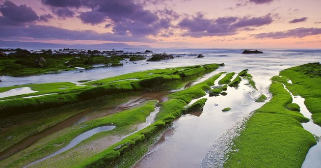 上海风水大师