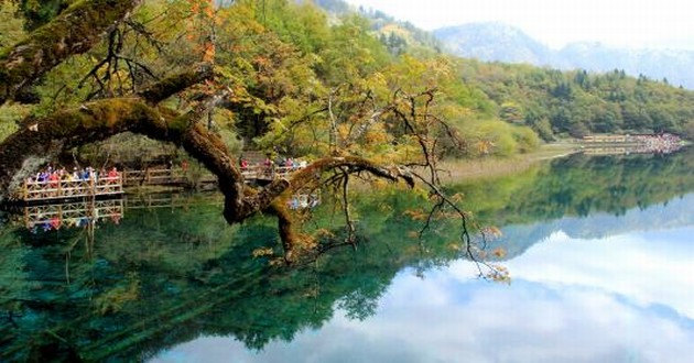 日本有名气的风水大师排名,周公解梦大全查询梦见死去的人又死了,梦见别人预言亲人死期