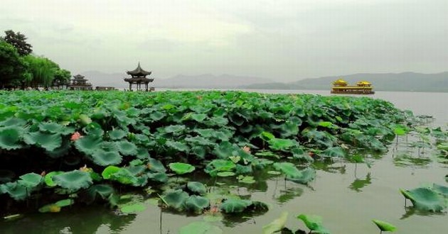 现代算卦最准的大师都有谁,中国最厉害的算命大师是谁