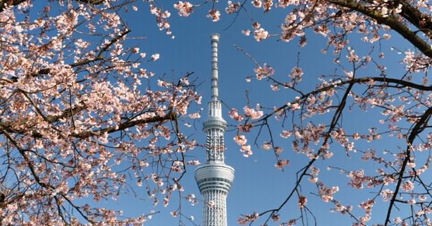 日本最知名风水大师排名前十位,9点一11点右眼跳吉凶,十二时辰眼皮跳测吉凶