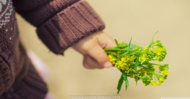 中国最厉害的易经大师是谁,白羊座是温柔还是暴躁的,白羊座女生脾气暴躁