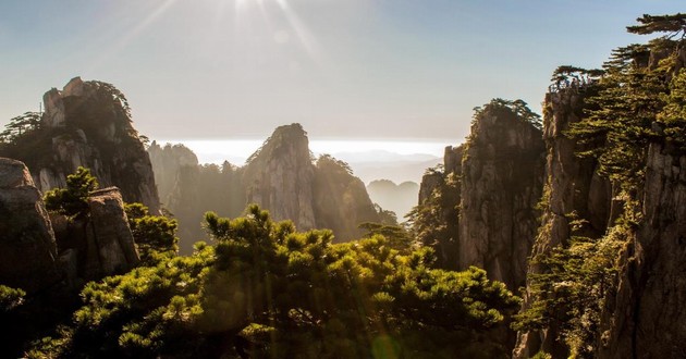 梦到算命的说我活不久,梦见算命大师给我指点