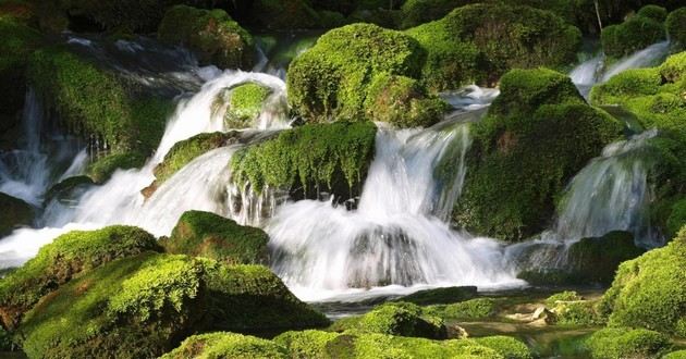 上海风水大师