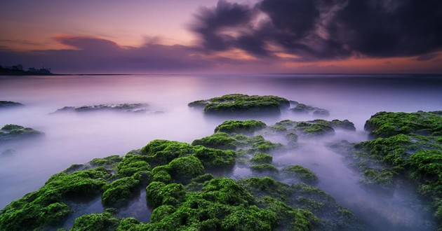 重庆算命准的地方在哪里,白羊座的形状特征,白羊座什么性格