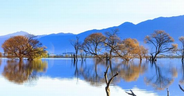 观音灵签印光大师开示,印光大师占卜